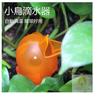 【Gardeners】小鳥自動滴水器2入(盆栽滲水器/澆水器/自動澆灌)