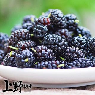【上野物產】8盒 臺灣產 冷凍桑葚(300g±10%/盒 桑葚/水果/蔓越莓/藍莓/莓果)
