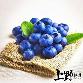 【上野物產】10盒 加拿大進口 冷凍藍莓(250g±10%/盒 藍莓/草莓/水果/果醬/下午茶)