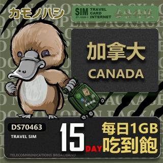 【platypus 鴨嘴獸】Travel Sim 加拿大15天 吃到飽 上網絡卡