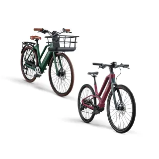 【LITZMO】碳纖維電動輔助自行車 2入 自選色(EV-01+EM-05 PRO)