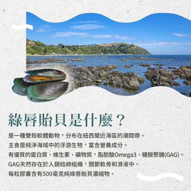 【聖伯納德 Sanct Bernhard】德國百年草本 綠唇貽貝膠囊(300粒/罐 糖胺聚醣)