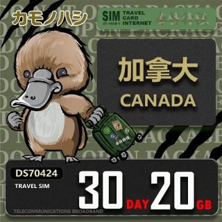 【platypus 鴨嘴獸】Travel Sim 加拿大 30天20GB 上網絡卡