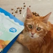 【Hyperr 超躍】貓咪無穀飼料+凍乾 2kg 任選(貓飼料 貓糧 高肉量 添加魚油 雞肉 牛肉 羊肉 鹿肉)