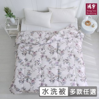 【HongYew 鴻宇】雲朵暖綿抗菌水洗冬被-多款任選(雙人 韓系 可機洗 素色 棉被)