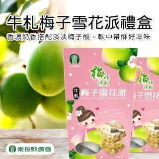 【南投縣農會】梅好時刻-牛軋梅子雪花派禮盒140gX1盒
