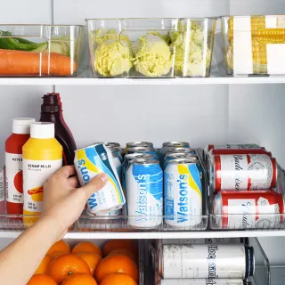 【DREAMCATCHER】抽屜式冰箱收納盒(冰箱收納/雞蛋盒/飲料架/蛋架/冰箱置物架)