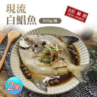 【優鮮配】野生一本釣白鯧魚2尾(約500g/尾)