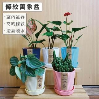 【Gardeners】直條紋永珍花盆2入附底盤(植物多肉條紋簡約室內園藝盆器花盆)