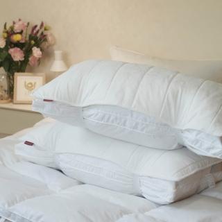 【LITA 麗塔寢飾】一片式 鋪棉枕頭保潔墊 40*60CM 2入(枕頭保潔墊/保潔墊)