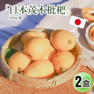 【優鮮配】日本長崎縣溫室茂木枇杷500gx2盒(500g/盒/5-8顆)