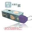 【淨新】4D成人立體口罩(25入/一盒/醫療級/國家隊 防飛沫/灰塵)