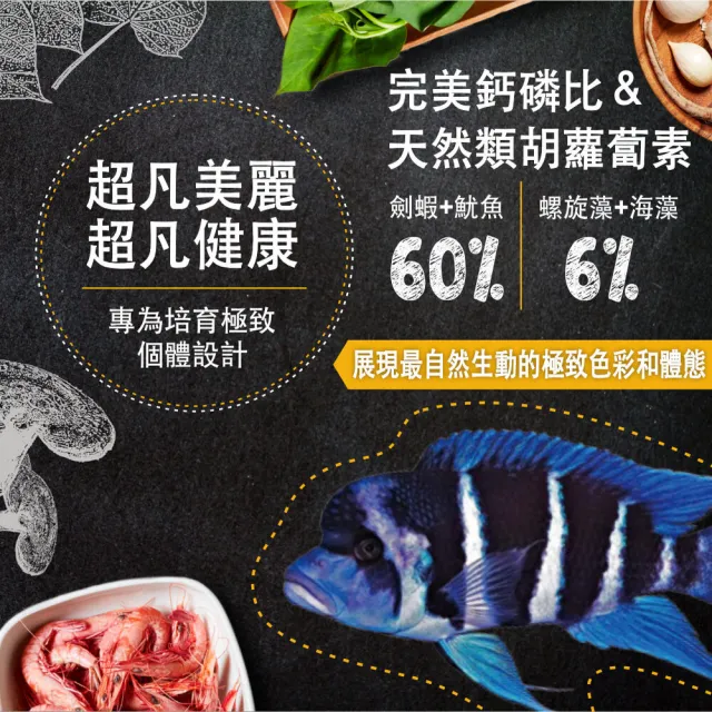 【鮮蝦食譜】肉食慈鯛＆大型熱帶魚-天然高蛋白鮮蝦堡1150ml(血鸚鵡飼料 慈鯛魚飼料 羅漢魚飼料 花羅漢)