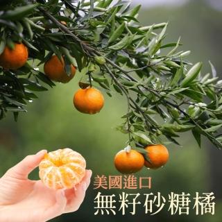 【逐鮮尋味】美國進口無籽砂糖橘3斤禮盒(端午禮盒)