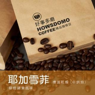 【Howsdomo 好事多磨】耶加雪菲 G1/慢速乾燥-精品咖啡豆225gx2包(精品咖啡豆)
