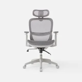 【特力屋】克萊德腰挺人體工學椅 電腦椅 辦公椅