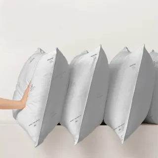 【DeKo岱珂】速達 買一送一 1公斤超值舒眠壓縮枕(3M吸濕排汗/日本大和防蹣抗菌表布)