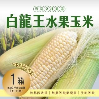 【雪莉朵辣嚴選】白龍王水果玉米 x1箱(3.6kg/箱 約11-14支)
