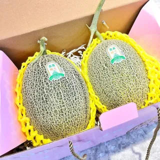【舒果SoFresh】台灣極光哈密瓜2入禮盒(2入/盒/2.4kg)