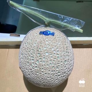 【舒果SoFresh】日本高知綠肉哈密瓜單入禮盒(產地限定職人之作)