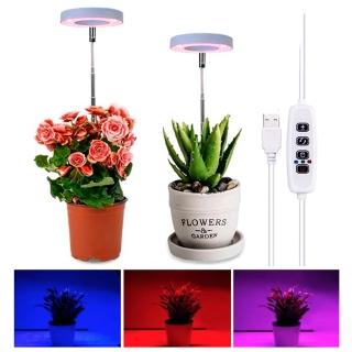 【沐森 Green Life】雙頭款/紅藍光 白色系天使環LED植物燈(植物增色 補光燈)