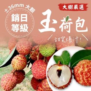 【雅德藍思】5/29出貨｜大樹玉荷包｜吃益生菌長大的玉荷包(外銷等級產地直送±35mm)
