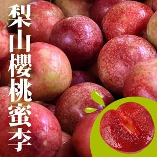 【十翼饌選果】明賢果園 梨山櫻桃蜜李 5臺斤/盒x6(產地直送/黑貓低溫配送)