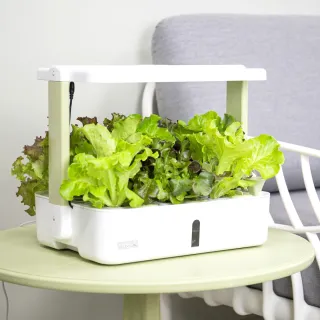 【Lagoon】Lalagoon喇喇棍水耕機(免運配送/機身輕巧/自栽自食/綠化空間/淨化空氣)