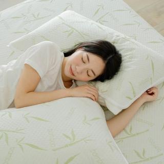 【翔仔居家】竹纖維透氣防水保潔枕墊(2入組)