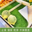 【poko台灣SGS認證】人工草皮 100x100cm(白色膠底款 無甲醛 仿真景觀草皮 草坪 草地毯 草皮 草)