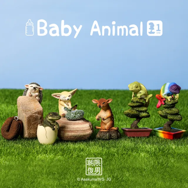 【YENDAR 研達】朝隈俊男 Baby Animal [單盒](超萌寶寶來襲!)