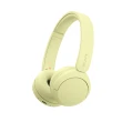 【SONY 索尼】WH-CH520 無線藍牙耳罩式耳機(公司貨 保固12個月)