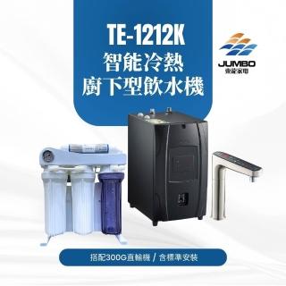 【東龍】TE-1212EK 智慧觸控式冷熱廚下型飲水機(搭配10吋通規300G直輸機 標準安裝)