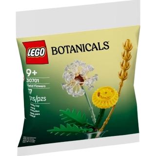 【LEGO 樂高】#30701 polybag 清新野花(Polybag)