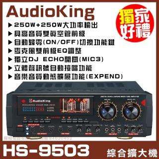 【AudioKing】HS-9503 卡拉OK綜合擴大機(高音質雙真空管立體聲動態擴充套件)