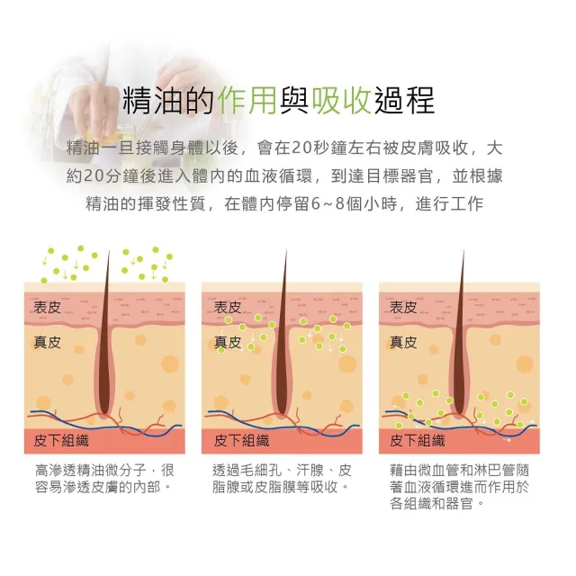 【Flowers 花芊】金牌 金門一條根滾珠凝露 國際限定版 12入組(40g/1瓶 外用強效)