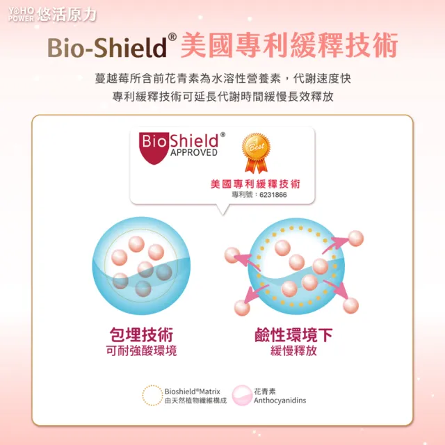 【悠活原力】高濃縮蔓越莓私密益生菌植物膠囊X1盒(30粒/盒 蔓越莓 蔓越莓益生菌)