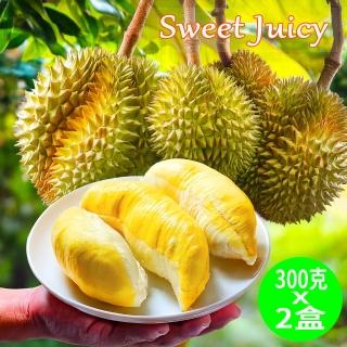 【Gold Thon】Sweet Juicy 泰國冷凍金枕頭榴槤2盒/300g*2(泰國 榴槤 榴蓮 榴槤冰 金枕頭榴槤 金枕頭)