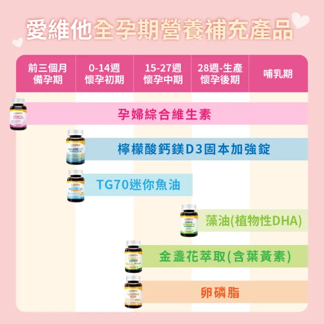 【LOVITA愛維他】孕婦綜合維他命素食膠囊(60顆)
