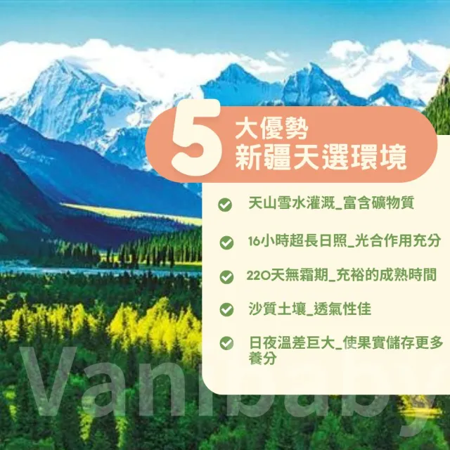 【正宗 西域果園】新疆紙皮烤核桃500g x5包(健康新配方 通過食品安全檢驗 無違法添加物 最新生產日期)