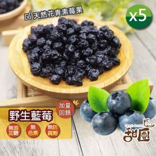 【甜園】野生藍莓/火龍果乾x5包(★無新增糖★低溫烘培★紅火龍果乾★藍莓果乾)