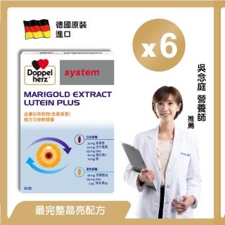 【Doppelherz 德之寶】葉黃素日夜軟膠囊60粒x6盒(德國雙心)