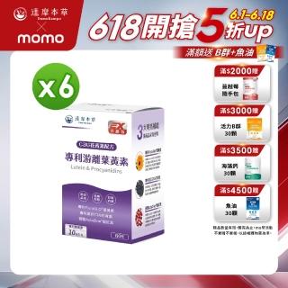 【達摩本草】專利遊離葉黃素+C3G花青素 6入組(1入60顆)