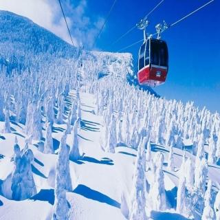 【喜鴻假期】【高雄出發．超值藏王樹冰６日】銀山溫泉、玩雪樂、草莓吃到飽、溫泉饗宴