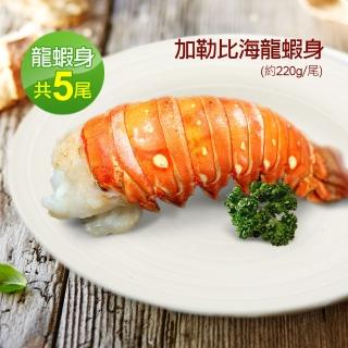 【優鮮配】蔚藍海-加勒比海8盎司龍蝦身5隻(約220g/尾)