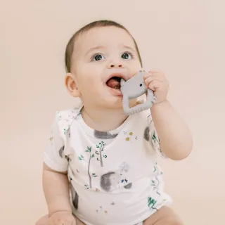 【Loulou lollipop】可愛造型矽膠固齒器(多款任選)