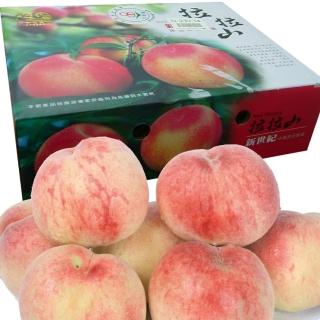 【桃園復興鄉】拉拉山水蜜桃禮盒/10粒裝(中秋禮盒)