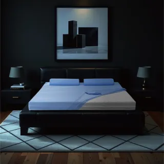 【House Door 好適家居】紓壓抗塌陷 專利抗菌床包套9cm厚竹炭記憶床墊(雙人5尺-壓縮包裝款)