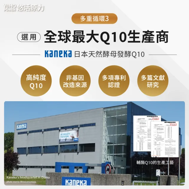 【悠活原力】悠活紅麴納豆Q10膠囊(60粒/盒 非使用小林紅麴)