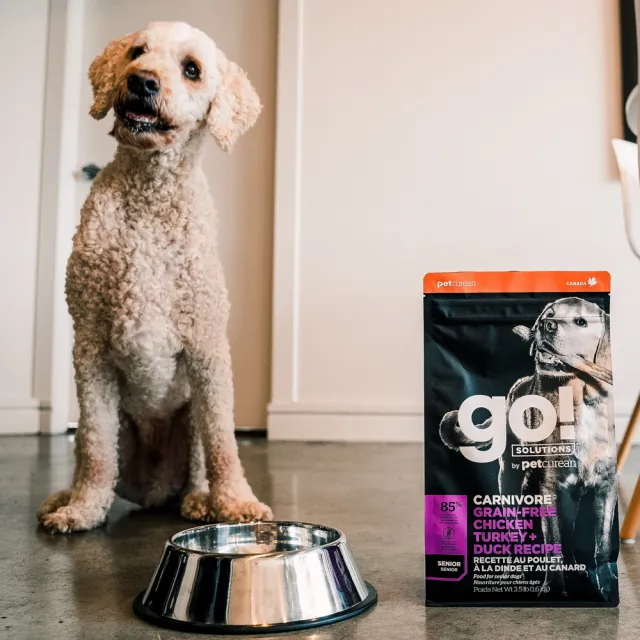 【Go!】雞肉鮭魚 22磅 老犬高肉量系列 低卡無穀天然糧(狗糧 體重控制 狗飼料 寵物食品)